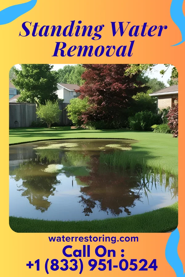 Standing Water Removal in Waveland, IN